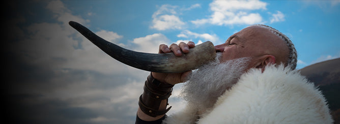 Drink Like a Viking