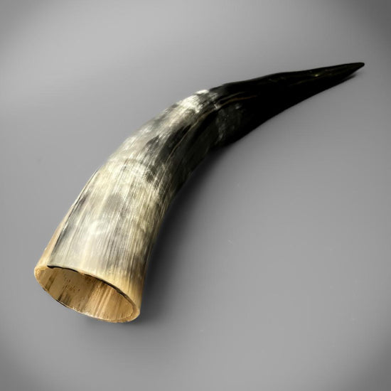 Drinking Horn with Horn Stand - Glory or Valhalla