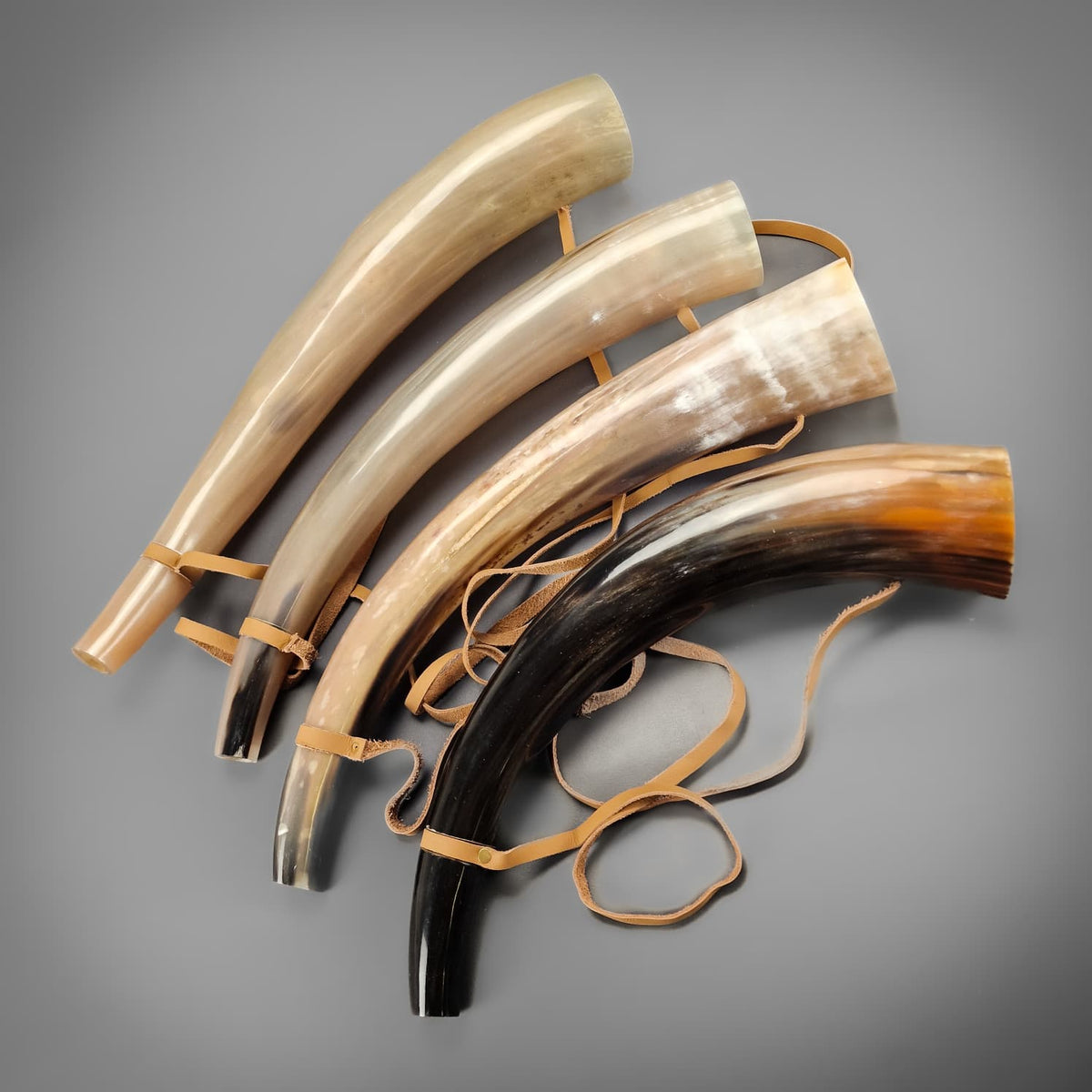 War Horn - Extra Large